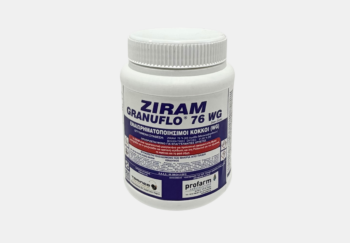 ziram