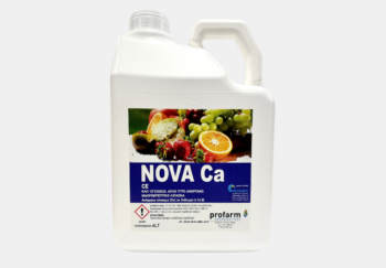 nova ca