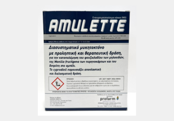 amulette