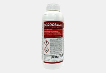 cordoba