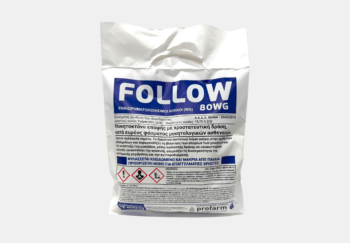 follow