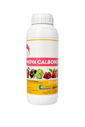 Nova Calboro
