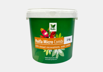 haifa micro combi