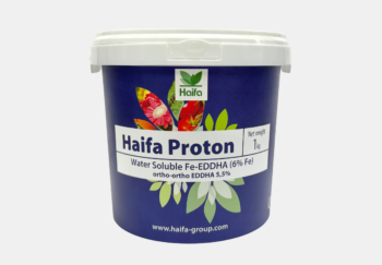 haifa proton