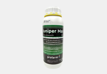 juniper max