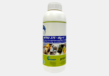 nitro 275 mg+s