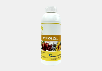 nova zil