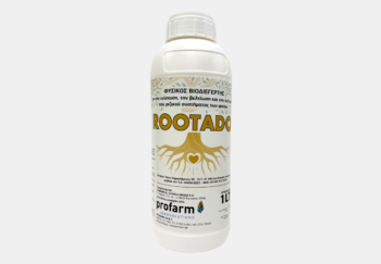 rootado
