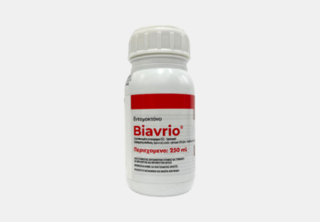 biavrio