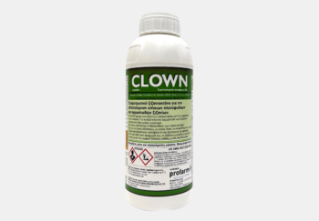 clown